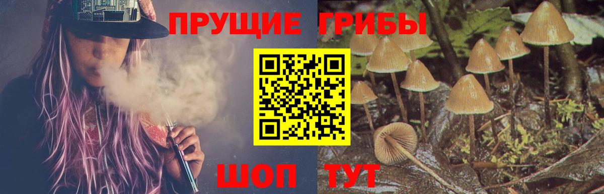Галлюциногенные грибы прущие грибы  как найти закладки  Архангельск  Вход с VPN 